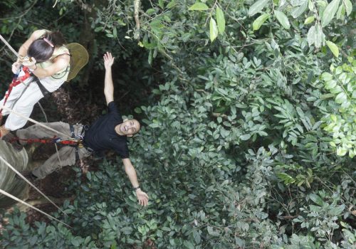 I spent far too much time climbing trees to photograph, ID and study the fruiting rainforest trees in preparation for the new tree nursery we built in town.